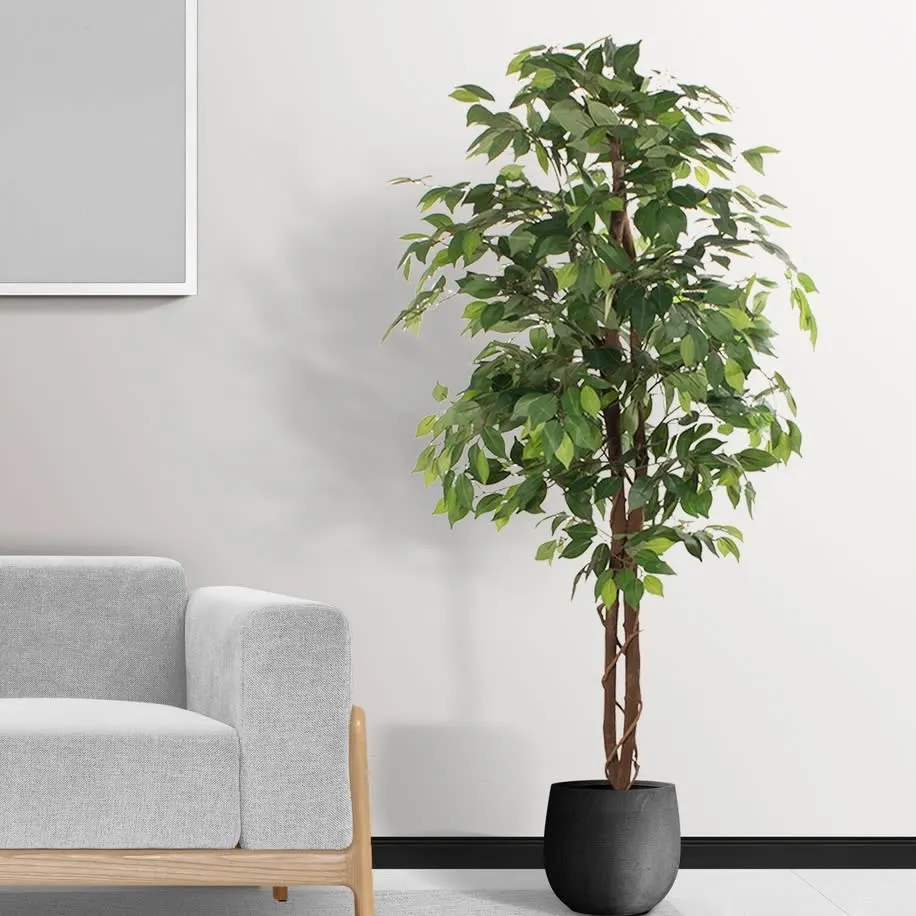 Images Village Green Wholesale Ltd