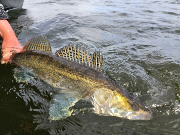 Images KP Fishing Oy