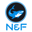 N & F ACCOUNTING LLC