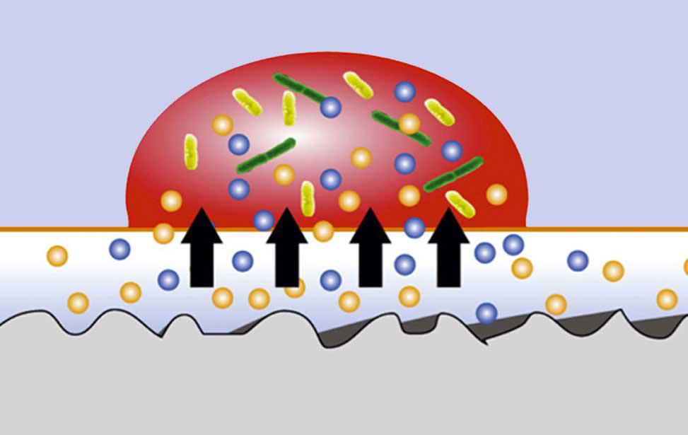 BIOSID Deutschland GmbH, Bertolt-Brecht-Platz 3 in Berlin