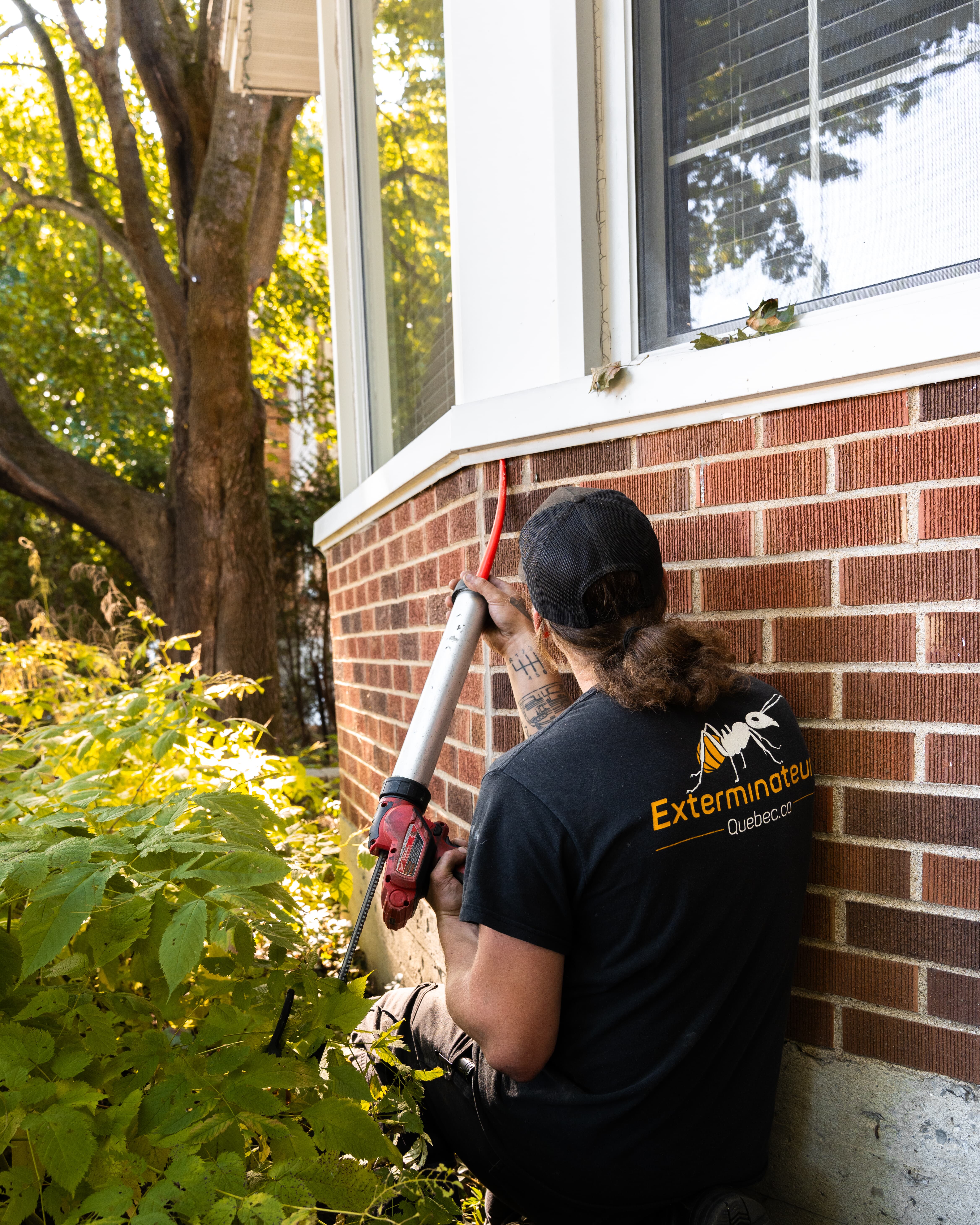 Images Exterminateurs Québec