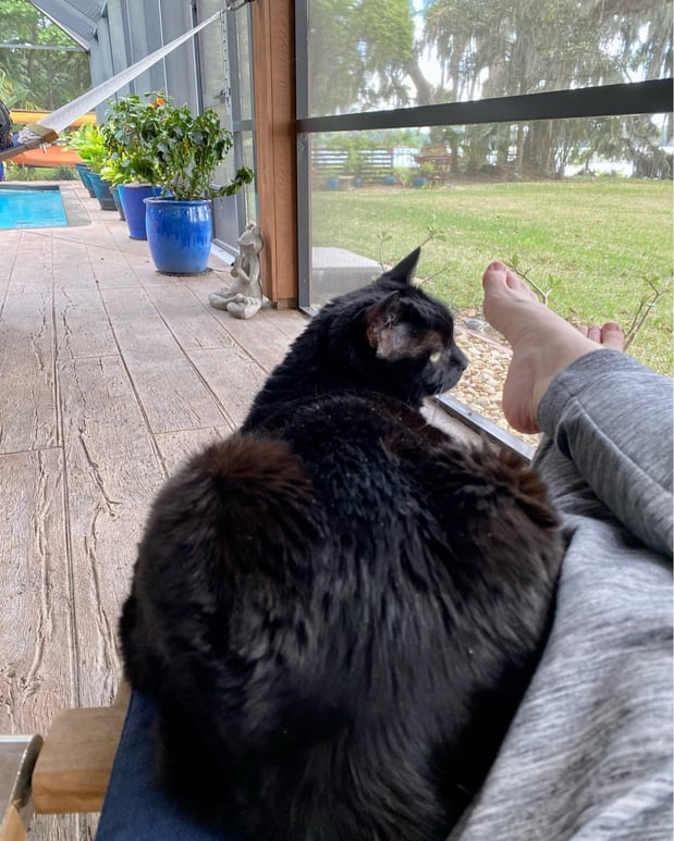 Images Edith Aldrich - State Farm Insurance Agent