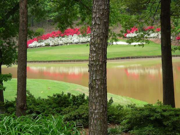 Images Embassy Suites by Hilton Greenville Golf Resort & Conference Center