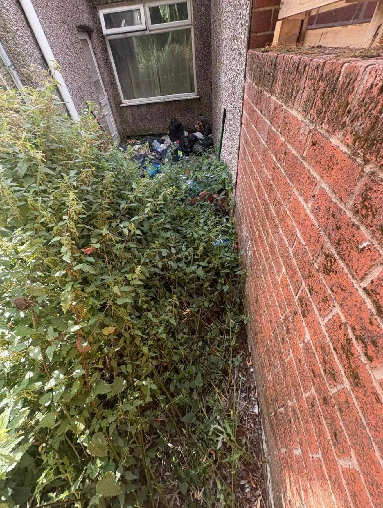 Images Cadman Rubbish Removals Ltd