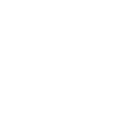 Master Car detailing Logo