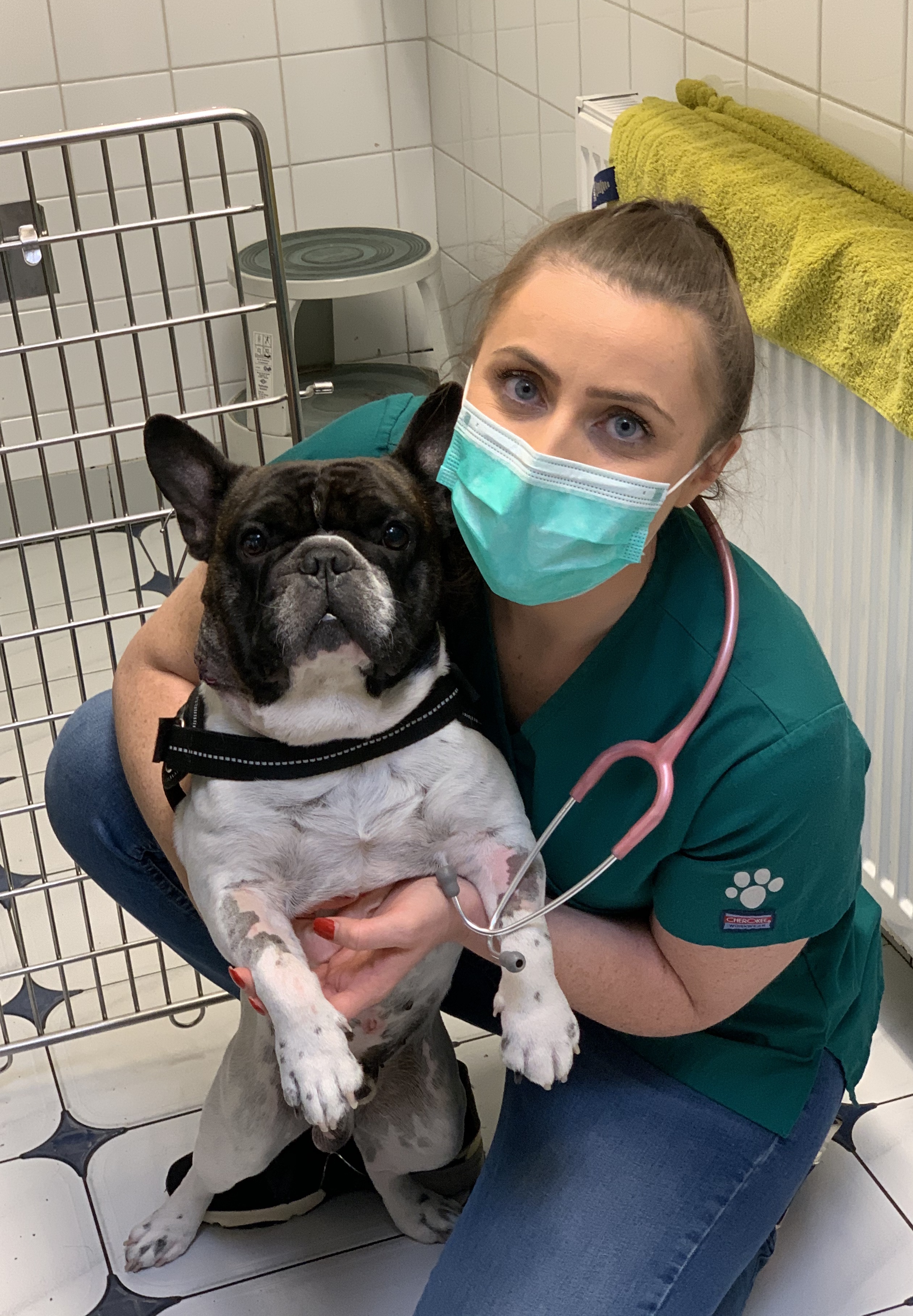 Images Streatham Hill Veterinary Surgery