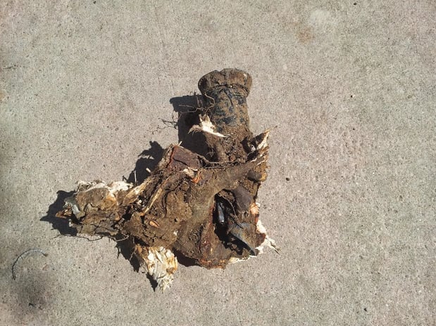 Images Green Mountain Turf Sprinkler Repair