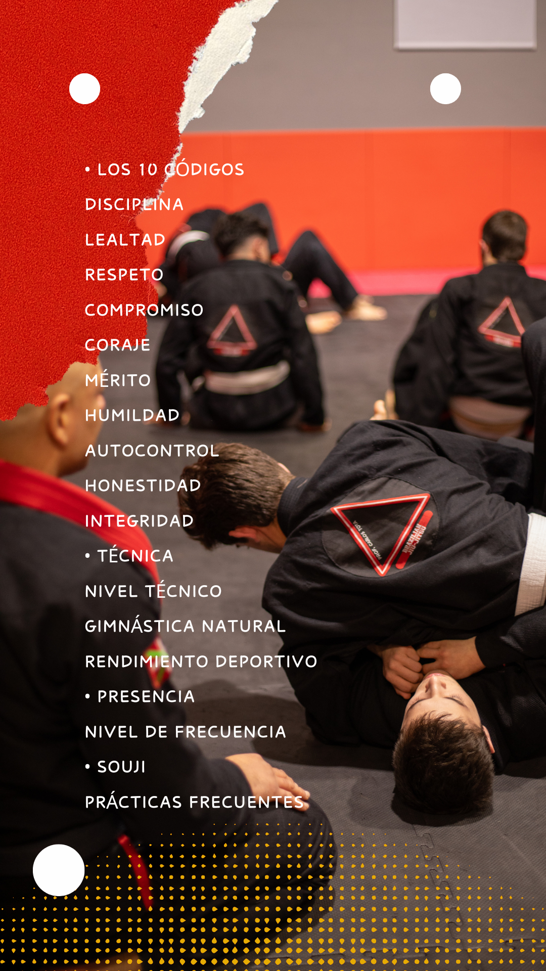 Images BRAZILIAN JIU-JITSU ACADEMY PROF CARLOS TOTA