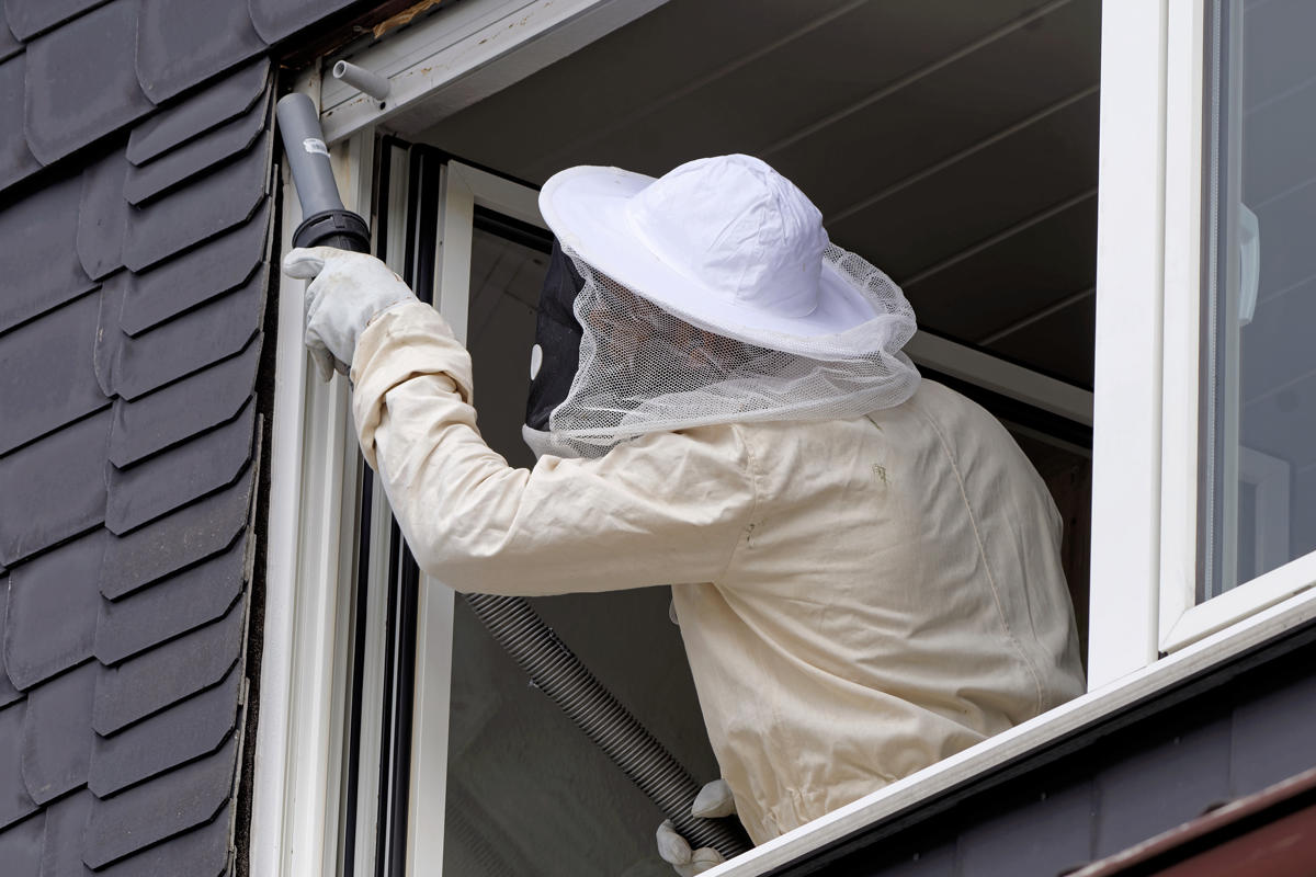 Felix Gartenbau & Wespen entfernen Zürich, Hegibachstrasse 9 in Zürich