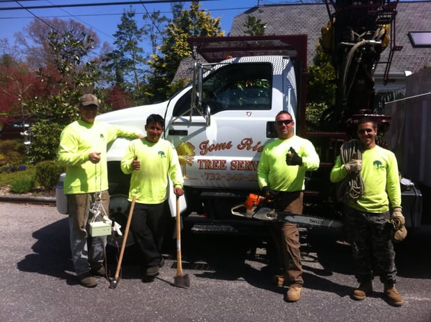 Images Toms River Tree Service