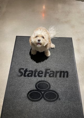 Images Brad Bollier - State Farm Insurance Agent