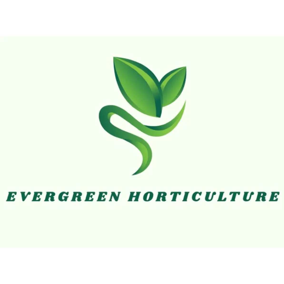 Evergreen Horticulture - Nelson, Lancashire - 07751 929870 | ShowMeLocal.com