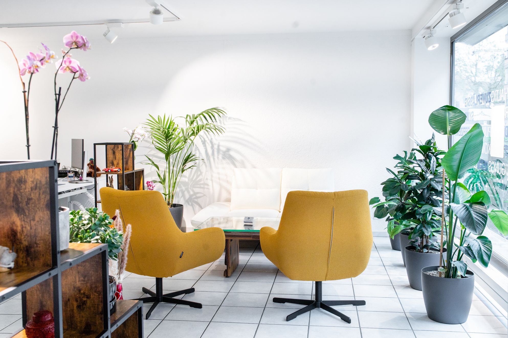 Bilder Hammer Reinigungsteam GmbH