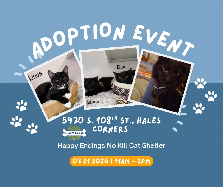 Image of Local Pet Event Happy Endings No Kill Cat Shelter Event HALES CORNERS Nearby