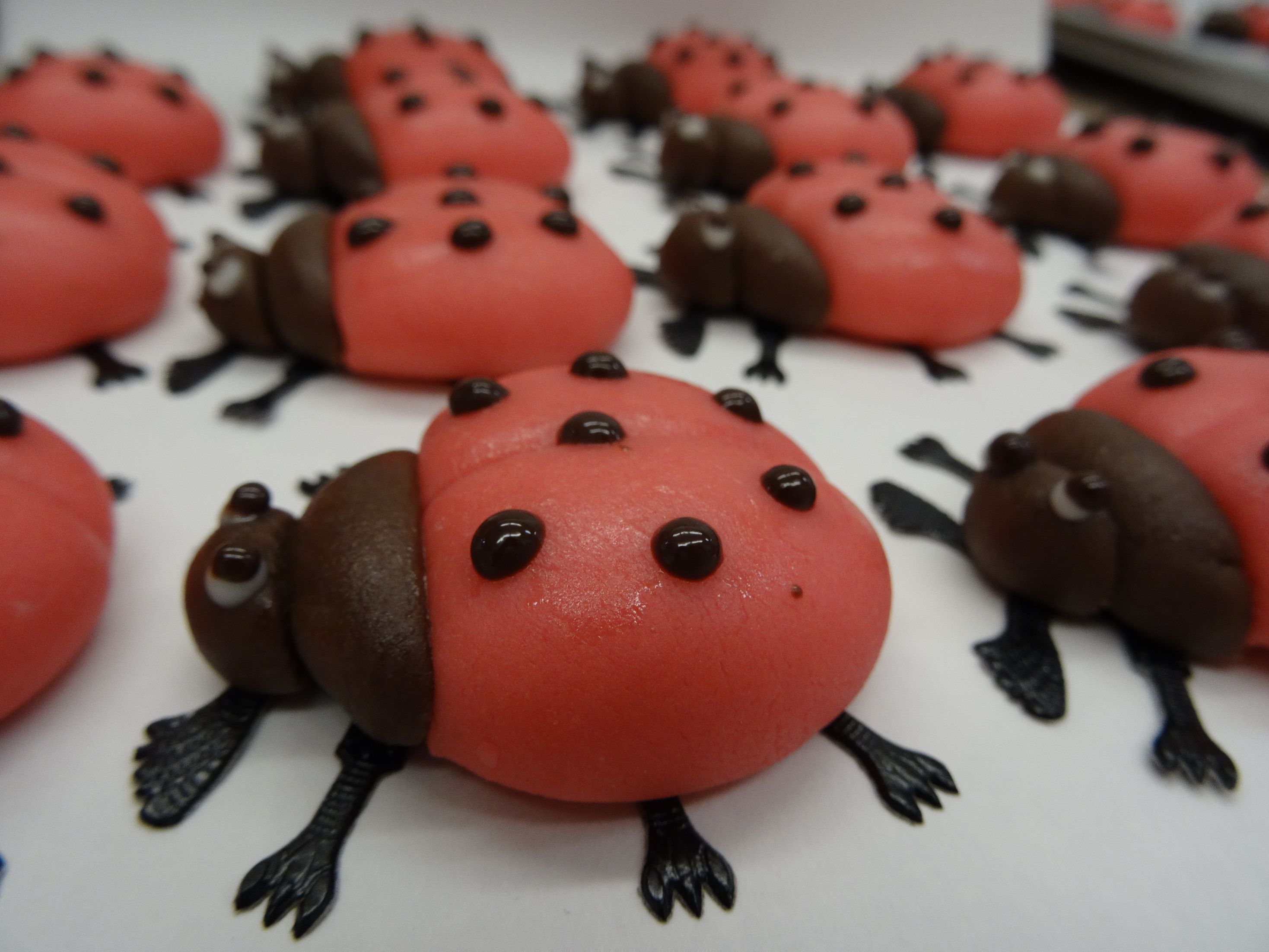 Bilder Zeller Chocolatier SA