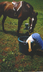 Images Star Ridge Stables