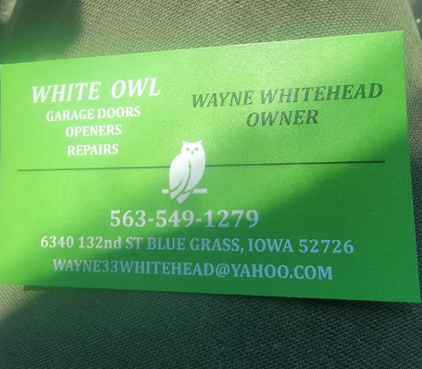 Images White Owl