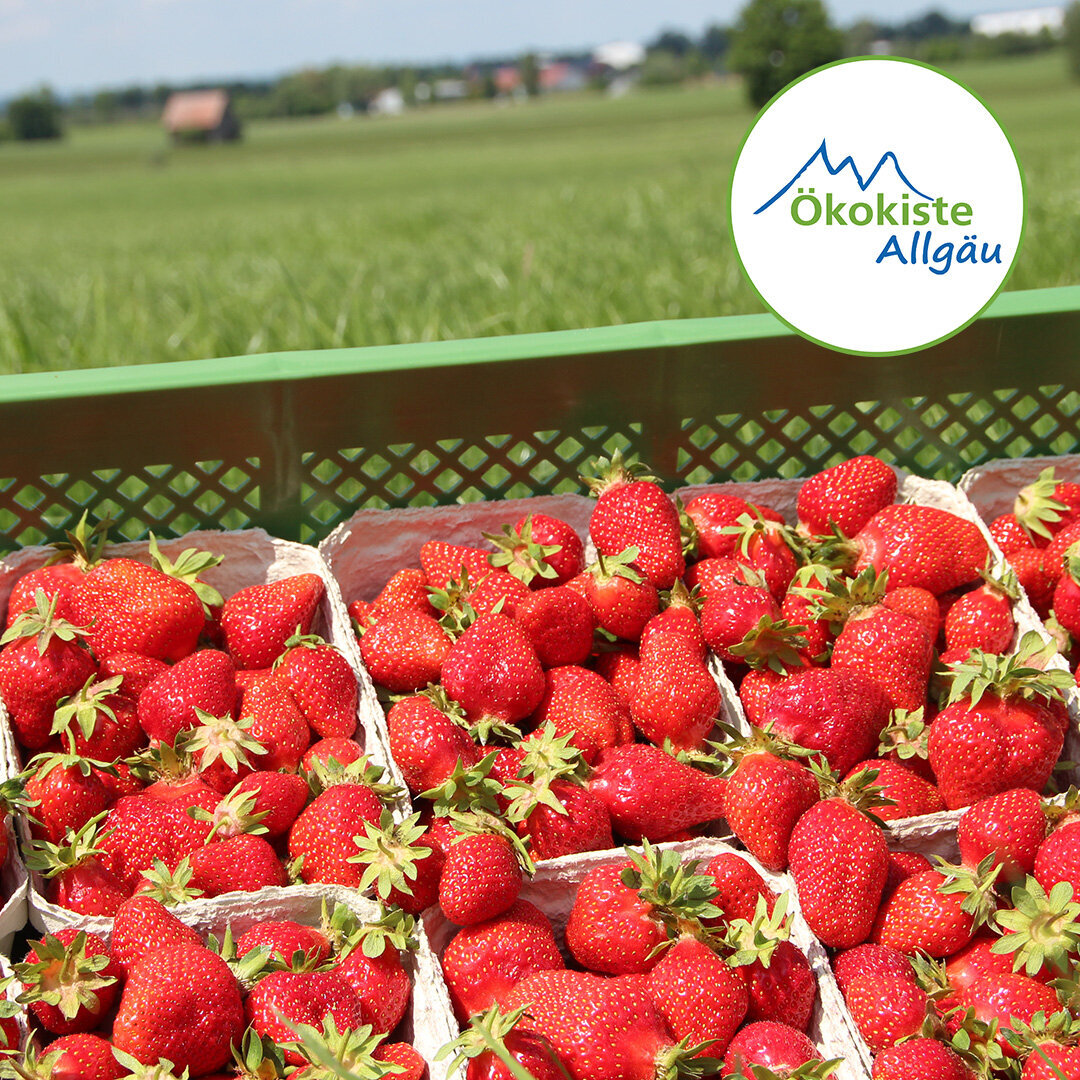 Bilder Bio-Lieferdienst Ökokiste Allgäu GmbH