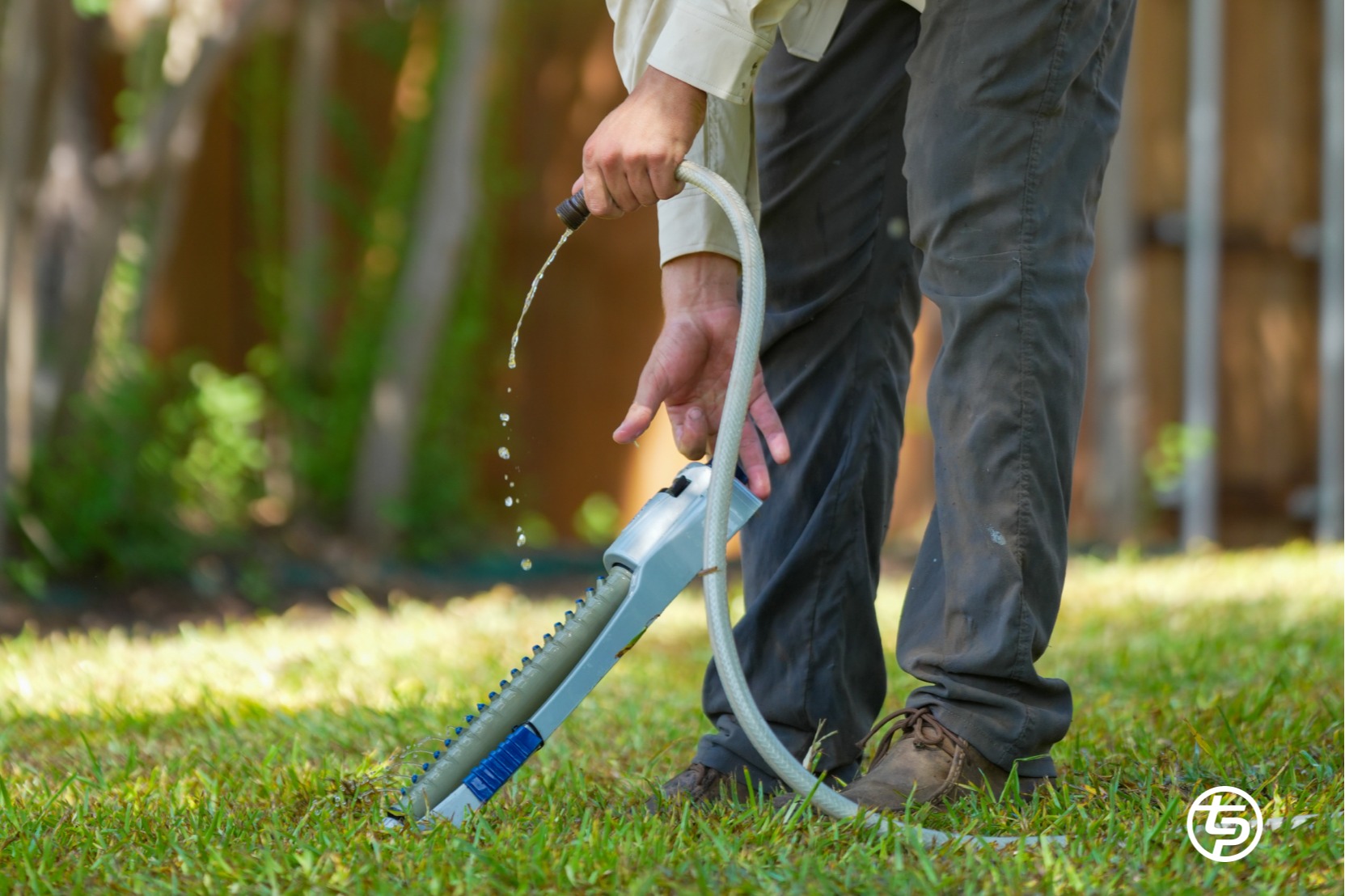 Lawn Restoration 