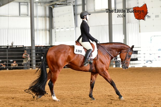 Images Garwood Arena