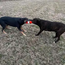 Sniffspot Yolistone Image