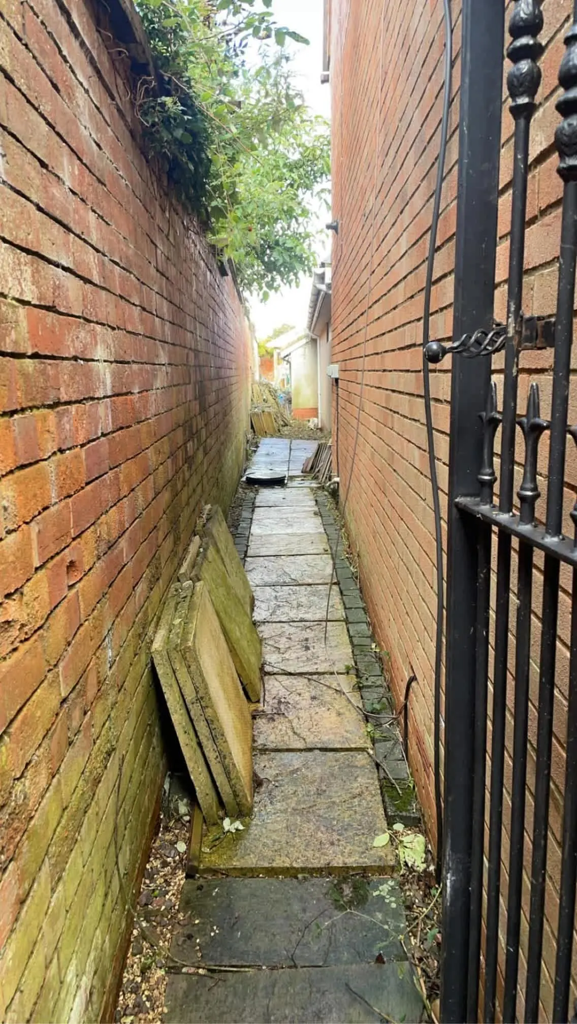 Images Oakwood Tree & Landscaping Services