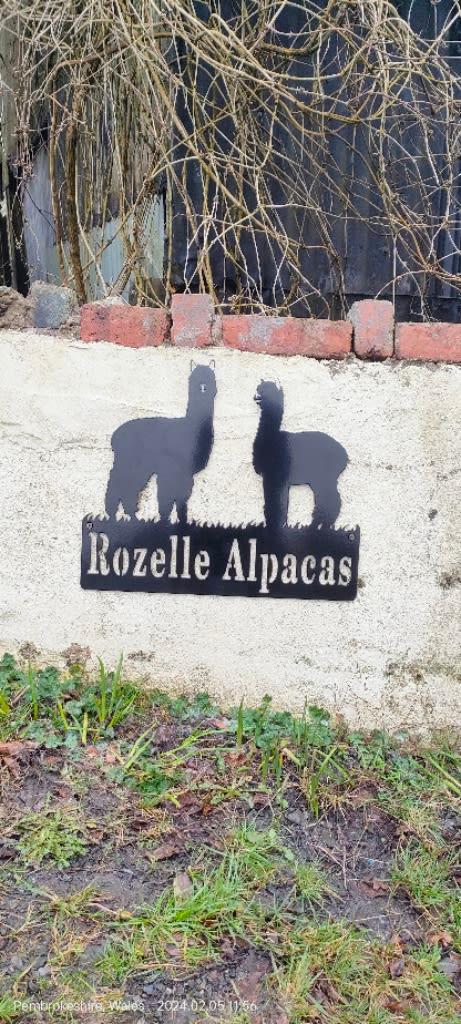 Images Rozelle Alpacas