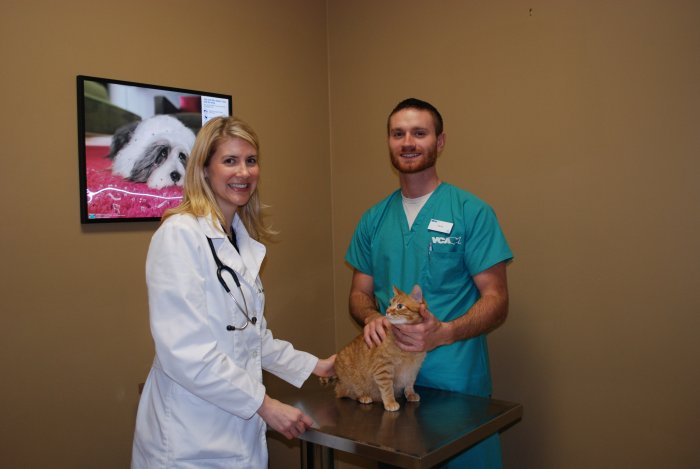 Images VCA Triangle Tower Animal Hospital