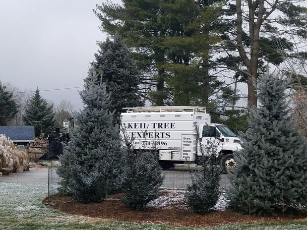 Images Keil Tree Experts Inc