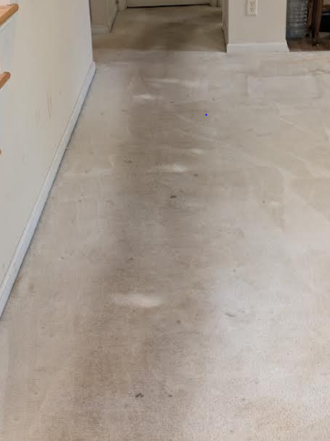 Images Purifications Carpet Cleaning