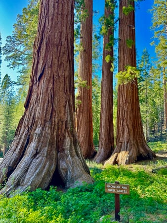 Images Brent Maudlin - State Farm Insurance Agent