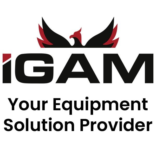 iGAM Logo