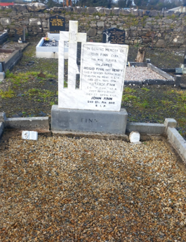 Before bushfield cemetery co mayo