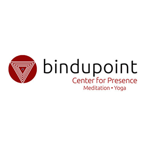 Bindupoint Logo