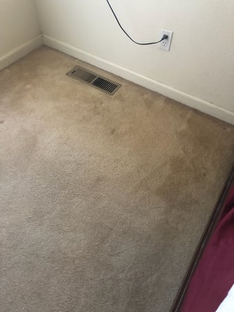 Images Carpet Pro Carpet Cleaning & Dyeing