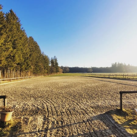 Bilder Pferdepension Almhof Thann
