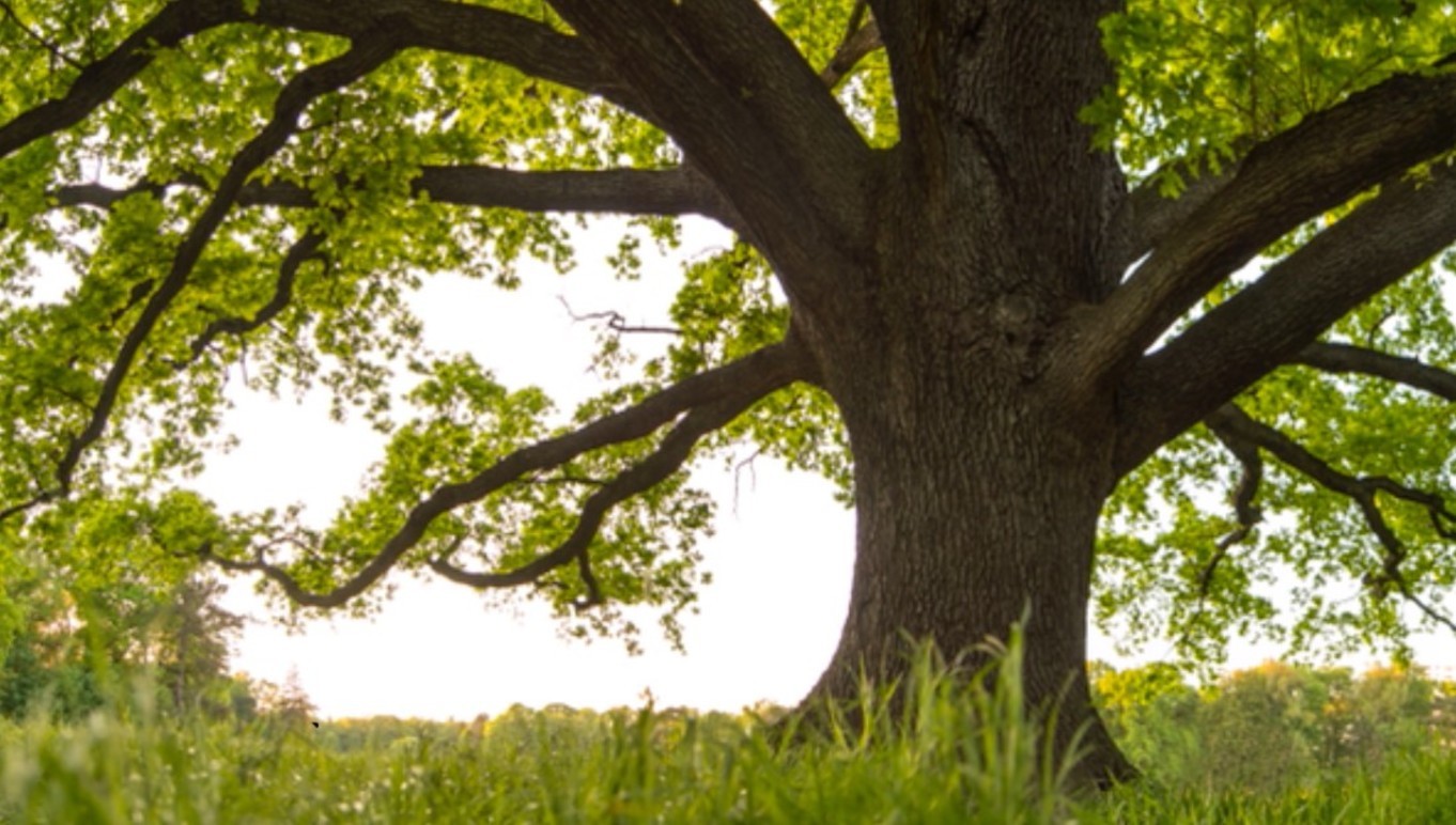 Images Ekhälsan - Terapi Linköping