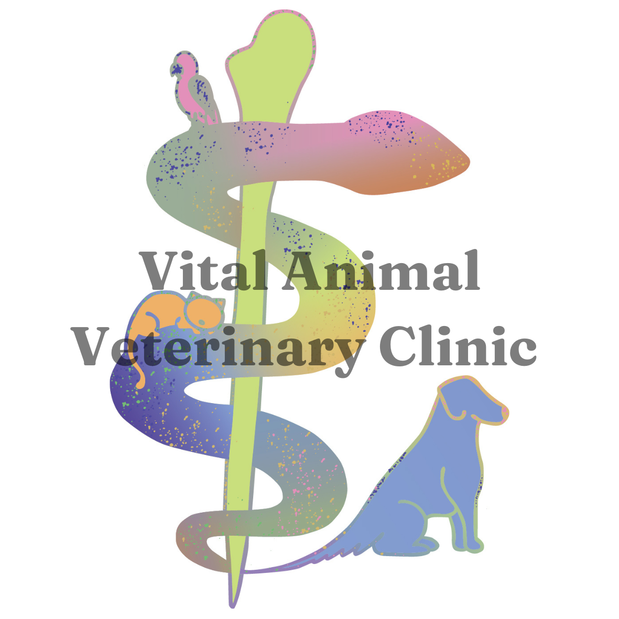 Images Vital Animal Veterinary Clinic