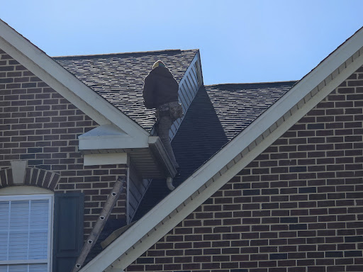 Images Doctor Roof Roofing Co