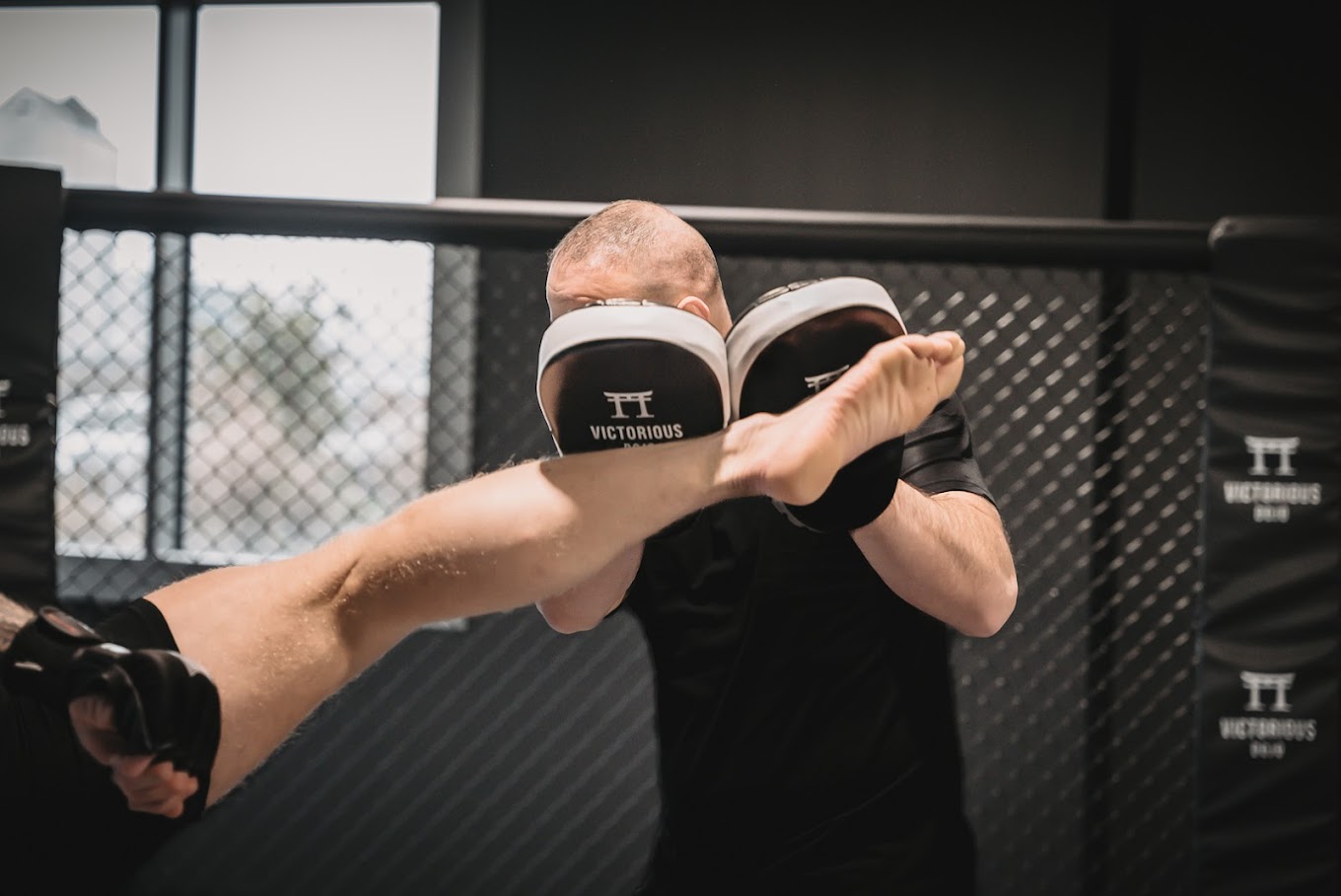 Bilder Victorious Dojo