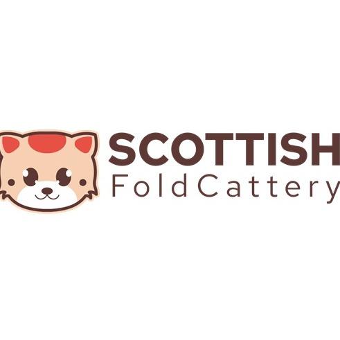 Scottish Fold Kitten Cattery Logo