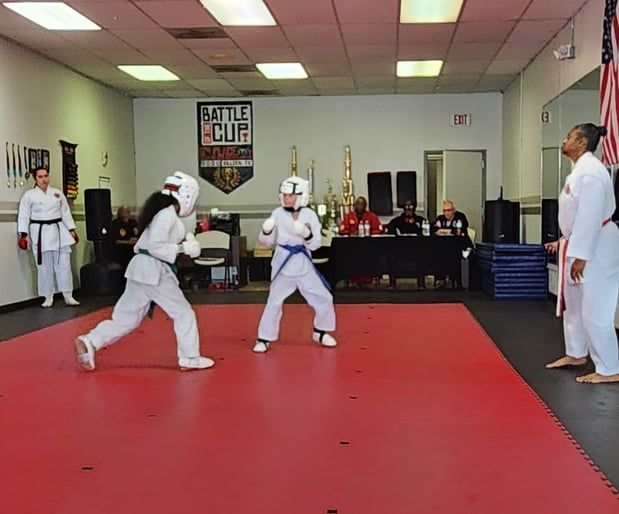 Images Jaguar Dojo