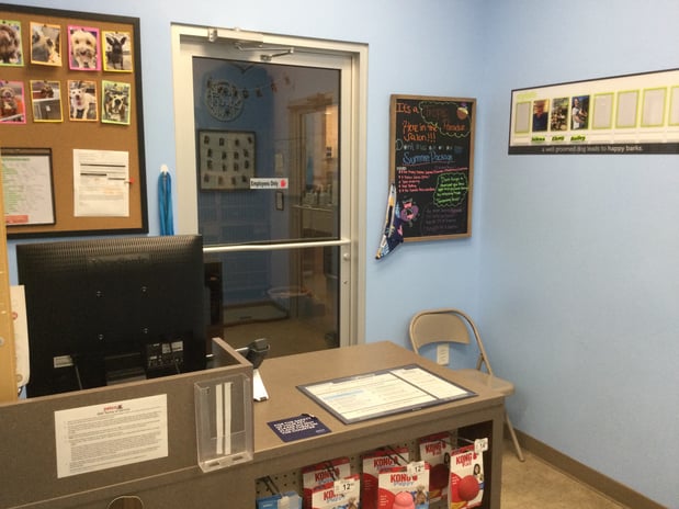 Images Petco Grooming