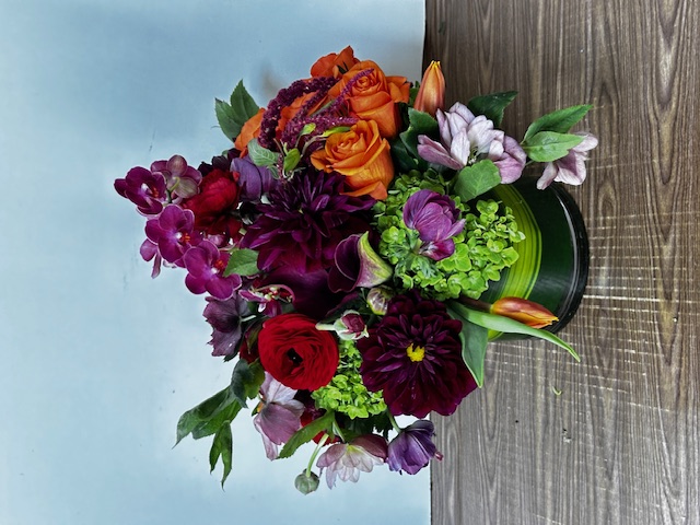 Images Jane's Roses & Flowers
