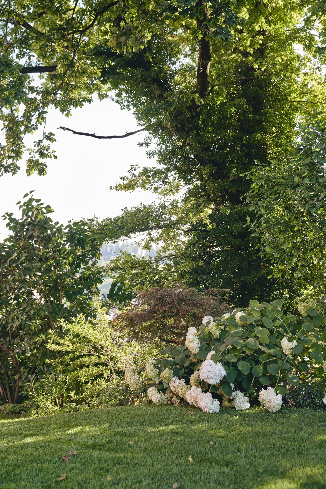 Bilder garten•kultur