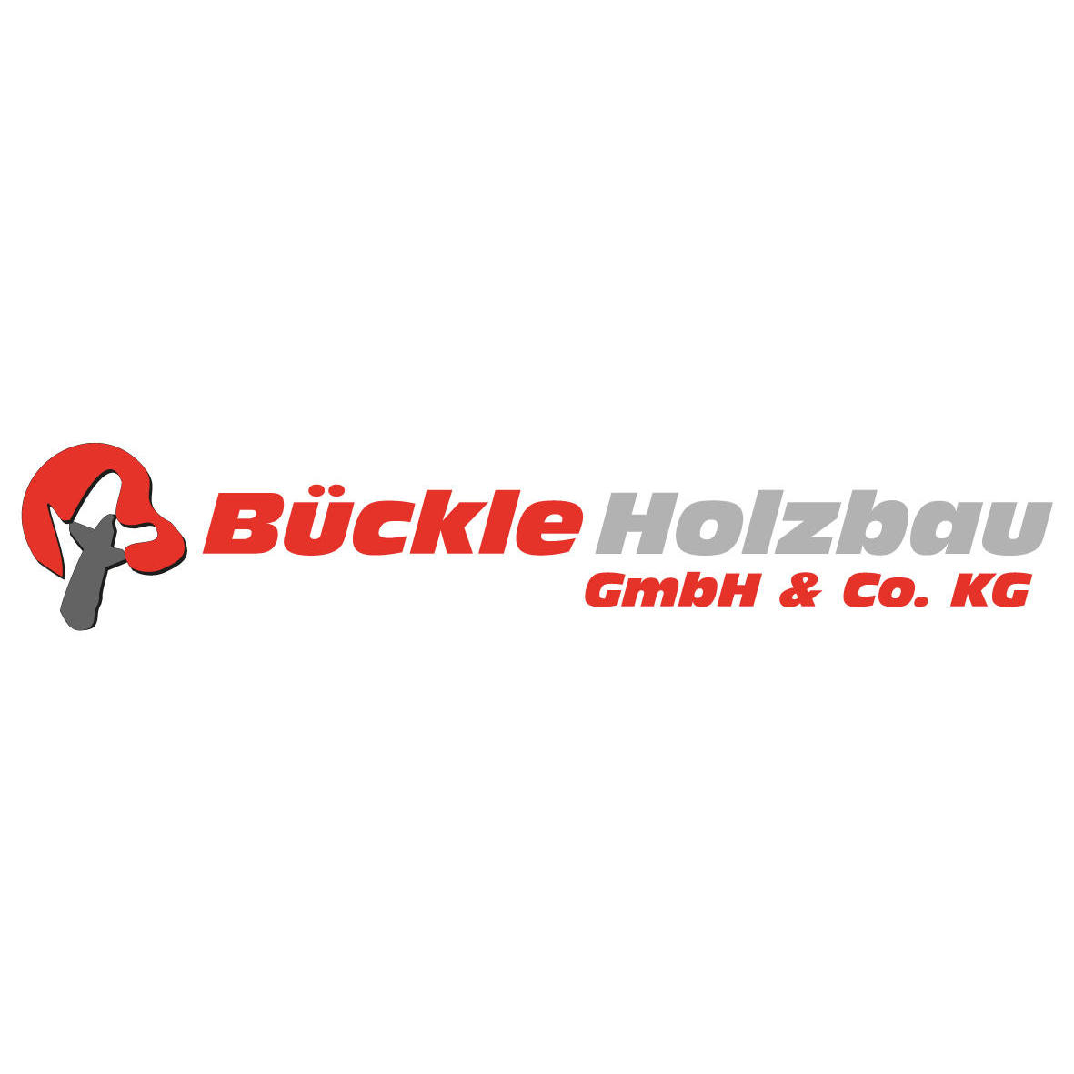 Bückle Holzbau GmbH & Co. KG in Erbach an der Donau - Logo