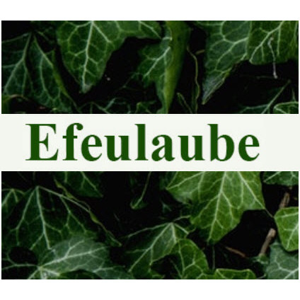 Blumengeschäft Efeulaube Logo