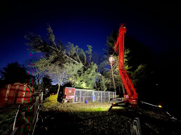 Images O'Brien Outdoors Tree Service