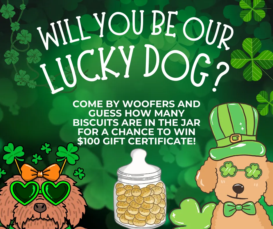 Image of Local Pet Event Will You Be Our Lucky Dog? Nearby