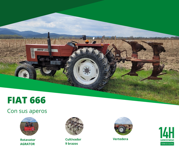 Images Catorcectáreas